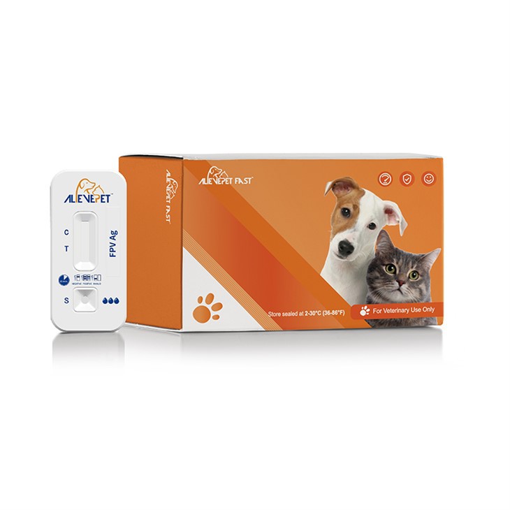 Dispositif de test d'antigène de parvovirus félin